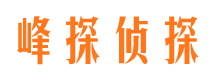 湛江外遇调查取证